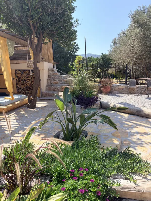 The courtyard with an olive tree, log pile and a view to the mountains